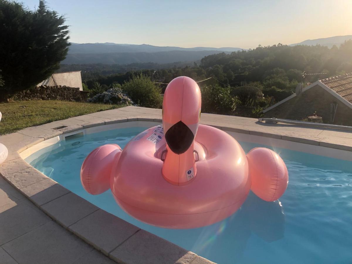 パレーデス・デ・コウラCasa Do Conde Montierアパートメント エクステリア 写真